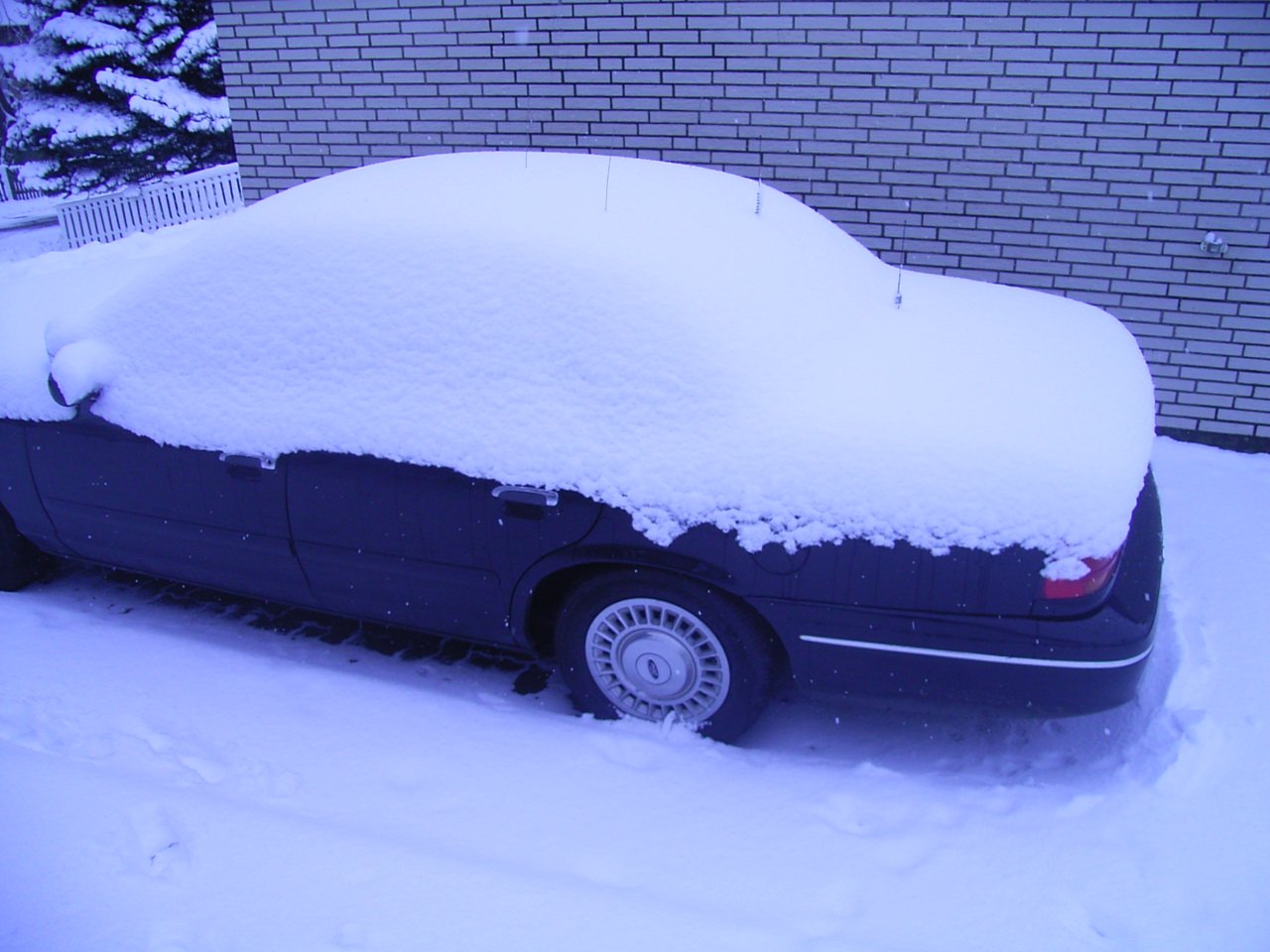 frozen mobo cruiser